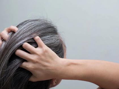 hair-turning-white-try-this-natural-remedy-twice-a-week-and-see-the-result | पांढऱ्या केसांवर करा 'हा' नैसर्गिक उपाय, काही दिवसात दिसेल परिणाम