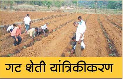 39 proposals for farmers' groop farming in Washim district | वाशिम जिल्ह्यात शेतकऱ्यांच्या गटशेतीसाठी ३९ प्रस्ताव  