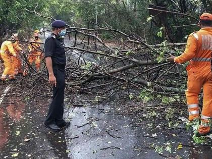 Thanekar found in a cyclone of fear | भीतीच्या चक्रीवादळात सापडले ठाणेकर