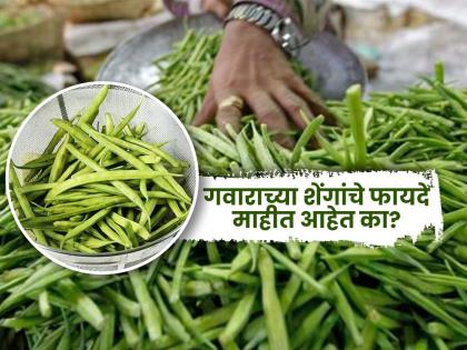 ‘गवारच्या शेंगांची भाजी’ असते खूप औषधी आणि गुणकारी, नावावरुन टिंगल करुन नाक मुरडाल तर पस्तावाल.. - Marathi News | Benefits of guar beans to get rid of stomach problems, why its gets discussed on social media | Latest sakhi News at Lokmat.com ‘गवारच्या शेंगांची भाजी’ असते खूप औषधी आणि गुणकारी, नावावरुन टिंगल करुन नाक मुरडाल तर पस्तावाल.. - Marathi News | Benefits of guar beans to get rid of stomach problems, why its gets discussed on social media | Latest sakhi News at Lokmat.com