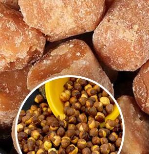 मूठभर चणे आणि गूळ म्हणजे महिलांसाठी सुपर पॉवर! पाहा महिलांनी रोज गूळ चणे खाण्याचे फायदे