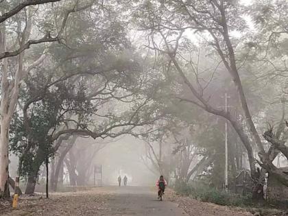 Even if the pink winter is gone, where? 'Nabh Clouds Invaded' Due to Fengal Effect; Rain showers in some cities | गुलाबी थंडी गेली तरी कुठे? फेंगल इफेक्टमुळे 'नभ मेघांनी आक्रमिले'; काही शहरांत पावसाचा शिडकावा