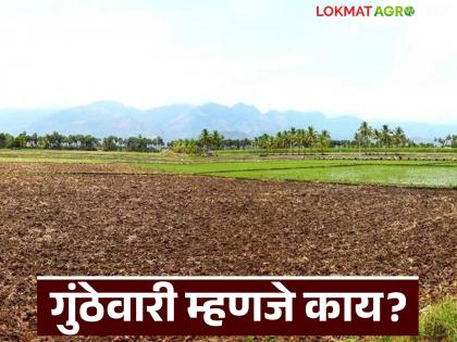 Latest News jamin kharedi vikri can a house be built on Gunthewari plot Know in detail | गुंठेवारी म्हणजे काय, गुंठेवारी प्लॉटवर घर बांधता येत का? जाणून घ्या सविस्तर Latest News jamin kharedi vikri can a house be built on Gunthewari plot Know in detail | गुंठेवारी म्हणजे काय, गुंठेवारी प्लॉटवर घर बांधता येत का? जाणून घ्या सविस्तर