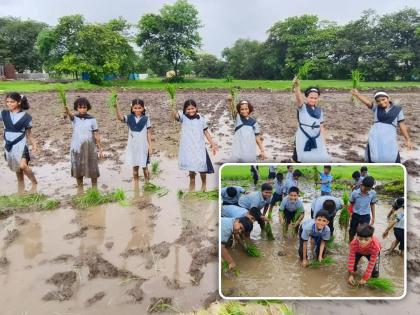 students of dombivli lokmanya gurukul experience the joy of cultivation | गुरुकुल शाळेतील विद्यार्थ्यांनी केली भातशेतीची क्षेत्रभेट ...