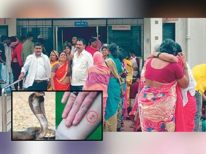 Three patients die simultaneously due to snakebite in Amravati, relatives outcry in Irvine hospital | कुणाची आई तर कुणाचे वडील हिरावले, सर्पदंशाचा थरार