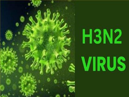 H3 N2 in Sangli District Five patients were found | ‘एच३ एन२’ने चिंता वाढविली, सांगली जिल्ह्यात पाच रुग्ण आढळल्याने धाकधूक, पण...