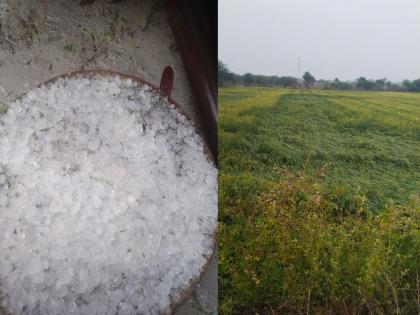 Hail hit the area of Babhulgaon, Hail Storm rain yavatmal | बाभूळगावातील घारफळ, सरुळ परिसराला गारपिटीचा तडाखा