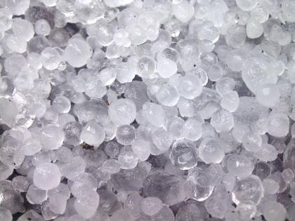 Welcome New Year with Hailstorm ! Warning of Meteorological Department and District Administration | नागपूर जिल्ह्यात नववर्षाचे स्वागत गारपीटने ! हवामान विभाग व जिल्हा प्रशासनाचा इशारा