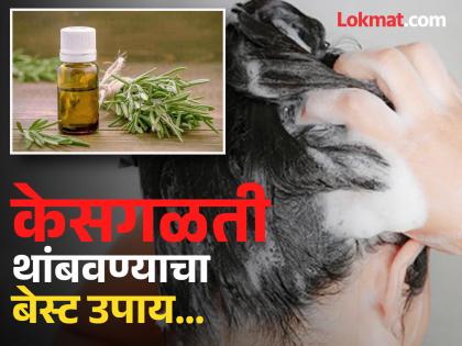 What to mix in shampoo for hair fall control | काही केल्या केसगळती थांबत नाहीये? शाम्पूमध्ये 'ही' एक गोष्टी मिक्स करून लावा!