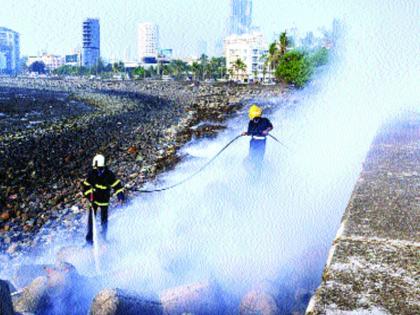 The garbage near the Haji Ali coast, the locals scurry | हाजीअली किनारपट्टीजवळील कचरा पेटला, धुराचा स्थानिकांना त्रास