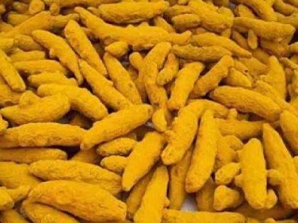 The government approved the establishment of the first Turmeric Research Center in Maharashtra at in Wasmat Hingoli District | हळदीचे ब्रॅण्डिंग सांगलीला, संशोधन केंद्र मात्र हिंगोलीला