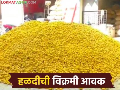 latest news Halad Market: Big twist in the turmeric market; Farmers' calculations went wrong in one day | Halad Market : हळदीच्या बाजारात मोठा ट्विस्ट; एका दिवसात शेतकऱ्यांचे गणित बिघडले latest news Halad Market: Big twist in the turmeric market; Farmers' calculations went wrong in one day | Halad Market : हळदीच्या बाजारात मोठा ट्विस्ट; एका दिवसात शेतकऱ्यांचे गणित बिघडले