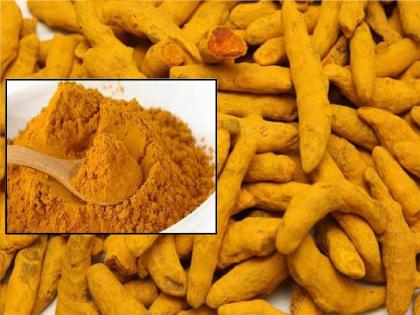 If the purchase of turmeric is done through NAFED, there will be confusion, indifference at the government level regarding guaranteed price | हळदीची खरेदी नाफेडमार्फत झाली तर मिळणार झळाळी, हमीभावाविषयी शासन स्तरावर उदासीनता