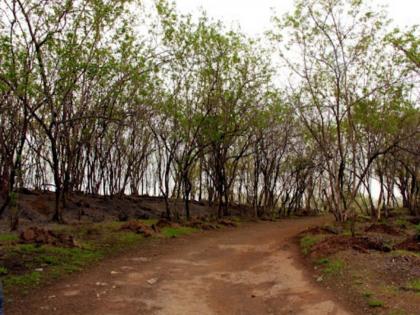 A college youth who went for a walk on Hanuman hill was robbed | हनुमान टेकडीवर वॉकला गेलेल्या महाविद्यालयीन तरुणाला मारण्याची धमकी देऊन लुटले