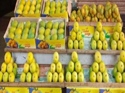 Hapus tastes expensive on Akshaya Tritiya | अक्षय तृतीयेला हापूसची चव महागच; सध्या दर किती.. वाचा सविस्तर Hapus tastes expensive on Akshaya Tritiya | अक्षय तृतीयेला हापूसची चव महागच; सध्या दर किती.. वाचा सविस्तर