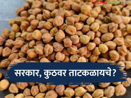 latest news Harbhara Kharedi: Government, how much longer do you have to wait? Farmers are angry because of this | Harbhara Kharedi : सरकार, अजून किती थांबायचं? 'या' कारणामुळे शेतकरी संतप्त latest news Harbhara Kharedi: Government, how much longer do you have to wait? Farmers are angry because of this | Harbhara Kharedi : सरकार, अजून किती थांबायचं? 'या' कारणामुळे शेतकरी संतप्त