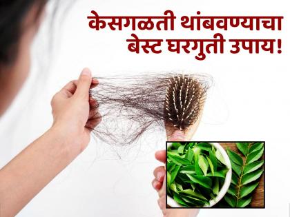 How to use curry leaves and coconut oil for hair fall control | खोबऱ्याचं तेल आणि कढीपत्त्याची पाने केसगळती रोखण्याचा रामबाण उपाय, एकदा करून बघाच!