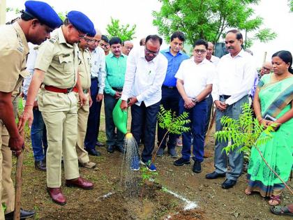 Let's to take shape of the 'Green Maharashtra' from the tree plantation : Chandrashekhar Bawankule | वृक्षलागवडीतून ‘हरित महाराष्ट्र’ साकारू या : चंद्रशेखर बावनकुळे