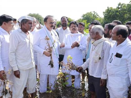'The government has money to break up MLAs and build Shakti Peeth highway but...', Congress's blunt criticism | ‘आमदार फोडण्यासाठी, शक्तीपीठ महामार्गासाठी सरकारकडे पैसे आहेत पण…’, काँग्रेसची बोचरी टीका  