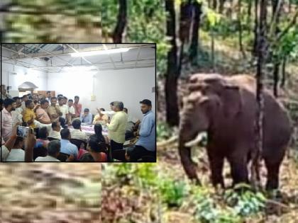 Controversy erupts at meeting organized by farmers and forest department at Dodamarg to decide direction of elephant capture campaign | Sindhudurg: दोडामार्ग येथे हत्तीप्रश्नावरून शेतकरीच आमने-सामने, मोहिमेवरून मतमतांतरे Controversy erupts at meeting organized by farmers and forest department at Dodamarg to decide direction of elephant capture campaign | Sindhudurg: दोडामार्ग येथे हत्तीप्रश्नावरून शेतकरीच आमने-सामने, मोहिमेवरून मतमतांतरे