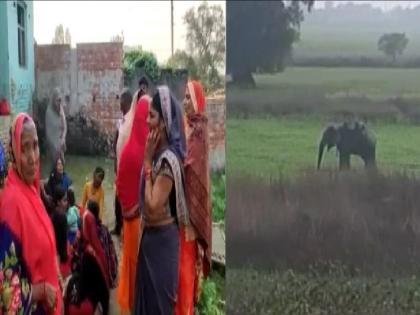 gorakhpur news, organization of Yagna in the village; The elephant broke into a crowd of 4-5 thousand, crushed three to death | गावात यज्ञाचे आयोजन; 4-5 हजारांच्या गर्दीत हत्ती बिथरला, तिघांना चिरडून ठार केले