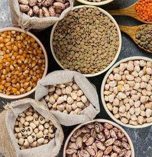 National Nutrition Week 2025 special: डाळी खाण्याचे वेगवेगळे फायदे- पाहा कोणती डाळ कोणासाठी चांगली 