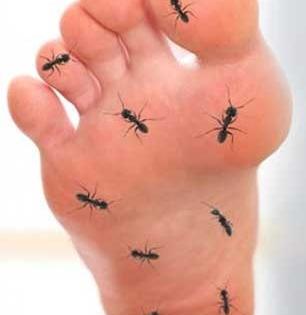 हातापायाला मुंग्या आल्यावर चटकन करा ‘हा’ सोपा व्यायाम, मुंग्या येणे-हातपाय जड होणे म्हणजे सोपा त्रास नव्हे..