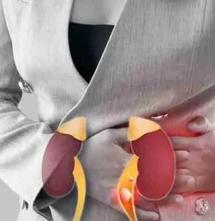 ५ लक्षणं सांगतात किडनीचं आरोग्य बिघडू लागलंय! वेळेत ‘हे’ बदल वाचवतील किडनी
