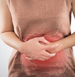 फक्त ४ भाज्या नियमित खा; पोटात पडणारी आग- आतड्यांना सूज हे गंभीर आजार राहतील दूर