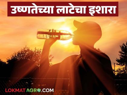Heat wave warning in the state for the next three to four days; What is the temperature recorded in your district? | पुढील तीन ते चार दिवस राज्यात उष्णतेच्या लाटेचा इशारा; तुमच्या जिल्ह्यात किती तापमानाची नोंद? Heat wave warning in the state for the next three to four days; What is the temperature recorded in your district? | पुढील तीन ते चार दिवस राज्यात उष्णतेच्या लाटेचा इशारा; तुमच्या जिल्ह्यात किती तापमानाची नोंद?