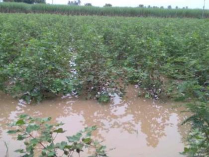 Crops on 33 thousand hectares of the state are in water due to heavy rains | अतिवृष्टीमुळे राज्यातील ३३ हजार हेक्टरवरील पिके पाण्यात