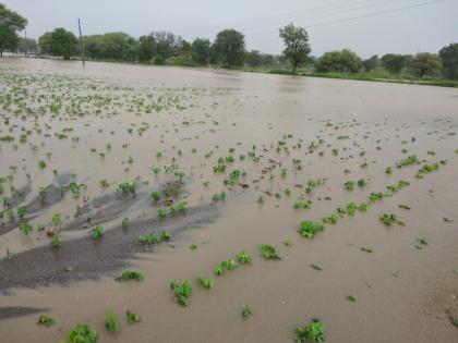 Heavy rains in Sakharkheda, flooding Bhogawati river | साखरखेर्डात मुसळधार पाऊस, भोगावती नदीला पुर