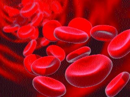 Increase in Anemia patients in Mumbai, highest in Pune | मुंबईत रक्तक्षयाच्या रुग्णांत वाढ, पुण्यातील प्रमाण सर्वाधिक