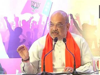 All border fencing gaps with Pakistan and bangladesh to be filled by 2022 says Amit Shah | Amit Shah: भारताच्या सीमेवरील कुंपणाचं काम २०२२ पर्यंत पूर्ण होणार; अमित शाह यांचे आश्वासन