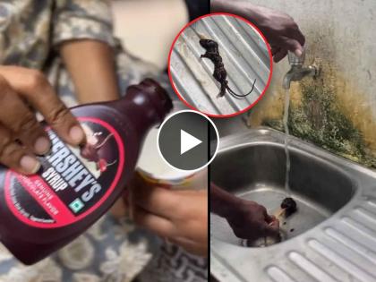 video dead mouse found inside hersheys chocolate syrup bottle company replies on social media post | Video - Hershey’s च्या चॉकलेट सिरपमध्ये सापडला मेलेला उंदीर; कंपनीने दिला रिप्लाय, म्हणाली...