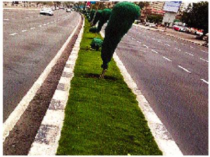 Saves the plants in Mumbai, the green mesh | मुंबईतल्या रोपट्यांना वाचवतेय हिरवी जाळी