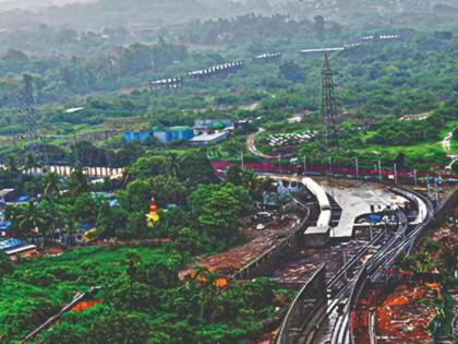 Not a single tree has been cut in Aarey since 2019 - Metro | आरेमध्ये २०१९ पासून एकही झाड तोडले नाही