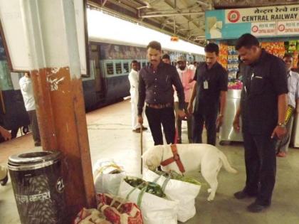 High alert on Nagpur railway station: Cheking by a dog squad | नागपूर रेल्वेस्थानकावर हाय अलर्ट : श्वान पथकाकडून तपास