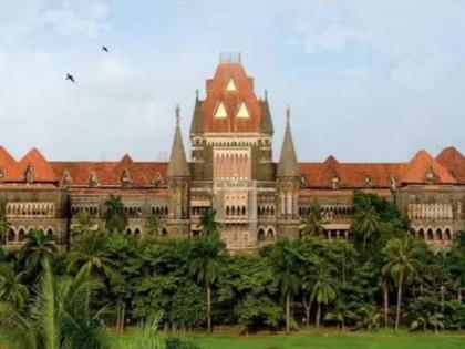 We do not have 'those' privileges: High Court | ‘ते’ विशेषाधिकार आम्हाला नाहीत : उच्च न्यायालय