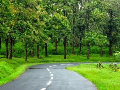 Permission for highway work in Dhalsawangi forest area | ढालसावंगी वन क्षेत्रात महामार्ग कामासाठी परवानगी