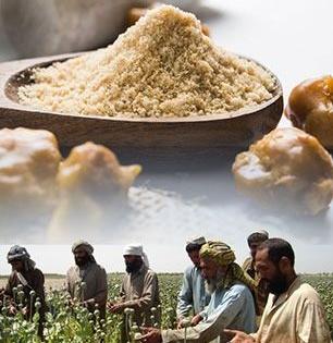 चिमूटभर हिंगाशिवाय भारतीय स्वयंपाकात मजा नाही, मात्र अफगाणिस्तानशी असलेलं  ‘हिंगा’चं नातं माहीत आहे का?