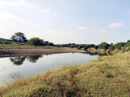 The existence of the river is threatened due to uncontrolled sand subsidence | बेफाम वाळू उपशामुळे नदीचे अस्तित्व धोक्यात