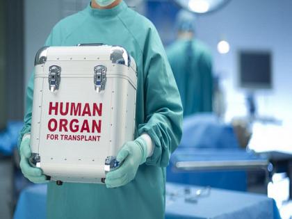 Suspicion of gender bias in organ transplantation; 80 percent of the beneficiaries are men | अवयव प्रत्याराेपणातही लिंगभेदाची शंका; ८० टक्के लाभार्थी आहेत पुरुष