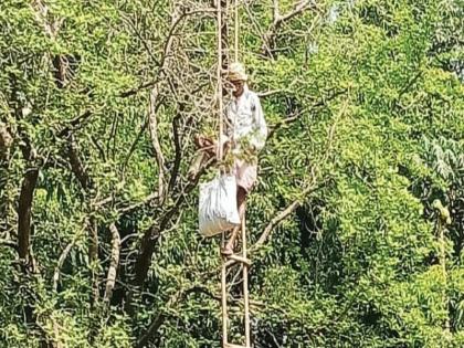 55-year-old woman stumbled from a height of 50 feet; A heartbreaking story of struggle In Thane | ५५ वर्षीय महिलेची ५० फूट उंचीवरुन धडपड; मनाला भारावून टाकणारी संघर्षमय कहाणी