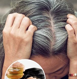पांढऱ्या केसांना 'या' पद्धतीने लावा घरगुती तेल! होतील काळेभोर घनदाट - एकही पांढरा केस दिसणार नाही...