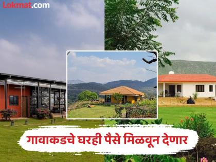 गावी थोडी उंचवट्यावर, डोंगरात जागा पडून आहे? सरकार देणार पैसे, वरच्या कमाईसाठी काय करू शकता पहा...