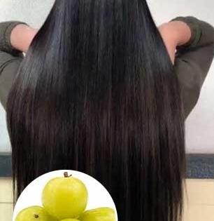 नातीचेच काय आजीचेही केस दिसतील काळेभोर-चमकदार- ताज्या रसरशीत आवळ्याचं तेल ‘असं’ करा...