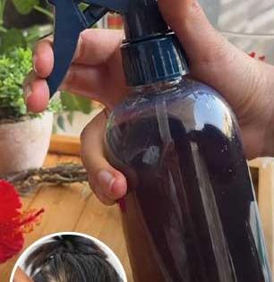 फक्त २० रुपयांत मिळेल ‘ॲण्टी हेअर फॉल स्प्रे’! केसांचं गळणं थांबलंच म्हणून समजा, मिळवा मजबूत केस...