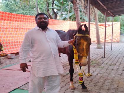 Khandoba service from a Muslim family Offering of Panchkalyani Ashwa by Mahamadbhai of Pimpri | मुस्लिम कुटुंबाकडून खंडेरायाची सेवा; पिंपरीच्या महंमदभाईंकडून ‘पंचकल्याणी अश्व’ अर्पण