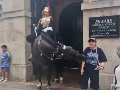 VIDEO : King Charles' guard horse bites tourist in London | राजाचा घोडा पर्यटकाला चावला, महिला पडली बेशुद्ध